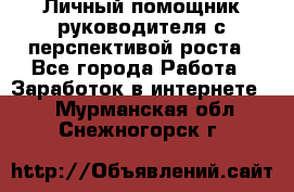 Личный помощник руководителя с перспективой роста - Все города Работа » Заработок в интернете   . Мурманская обл.,Снежногорск г.